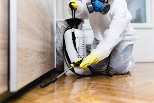 Cambridge, MN Pest Control Company