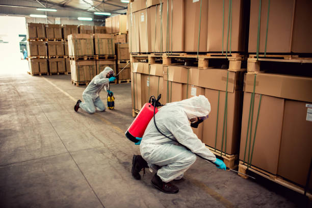 Pest Prevention Services in Cambridge, MN
