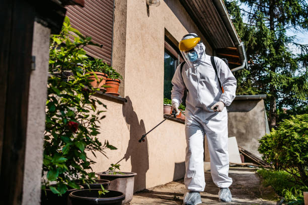 Best Pest Control Near Me in Cambridge, MN