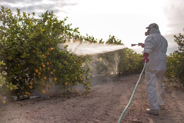 Best Affordable Pest Control Services  in Cambridge, MN