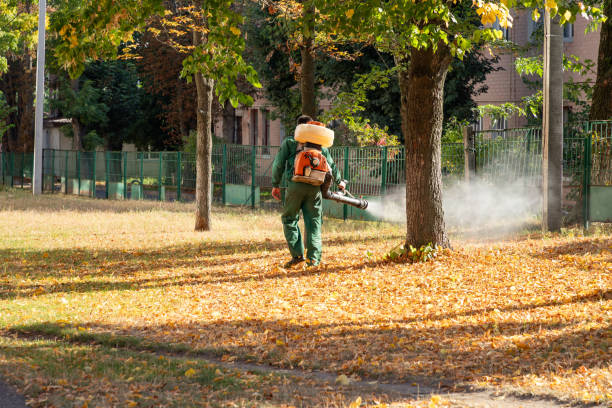 Best Pest Removal Services  in Cambridge, MN
