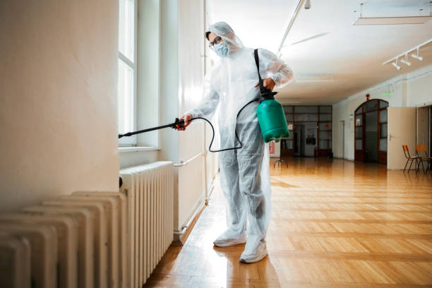 Best Wasp Removal Services  in Cambridge, MN